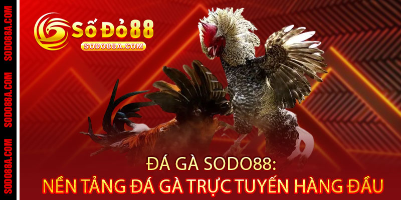 Đá Gà Sodo88 - Cược chất, thắng đậm, xem đã - Một chạm rinh tiền triệu