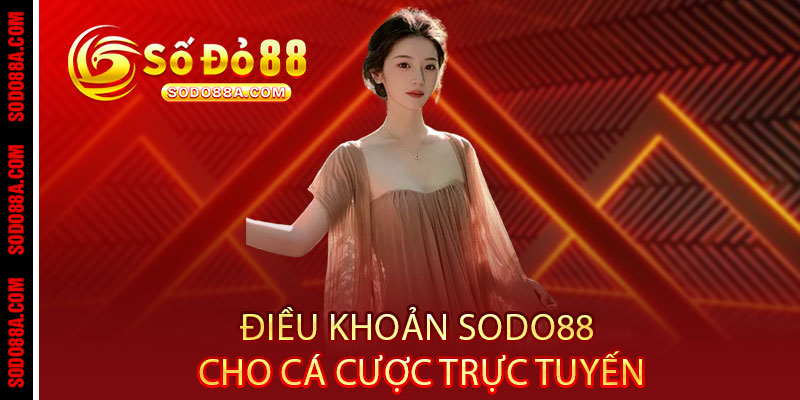 Điều khoản Sodo88 - Rõ ràng từng chữ, công bằng từng giao dịch