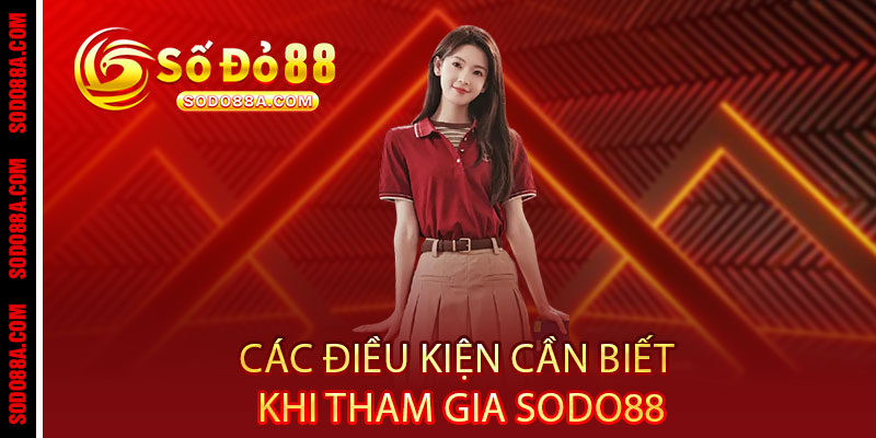 Điều khoản Sodo88 - Rõ ràng từng chữ, công bằng từng giao dịch