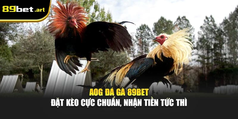 Đá Gà 89Bet - Trận Đấu Đỉnh Cao, Thắng Lớn Mỗi Ngày