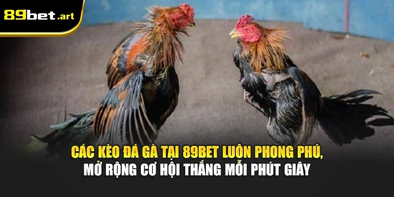 Đá Gà 89Bet - Trận Đấu Đỉnh Cao, Thắng Lớn Mỗi Ngày