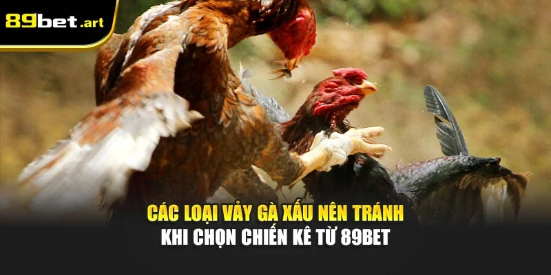 Đá Gà 89Bet - Trận Đấu Đỉnh Cao, Thắng Lớn Mỗi Ngày