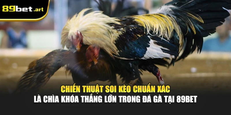 Kinh Nghiệm Chơi Đá Gà Tại 89Bet Dành Cho Các Cao Thủ