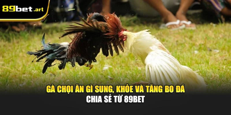 Đá Gà 89Bet - Trận Đấu Đỉnh Cao, Thắng Lớn Mỗi Ngày