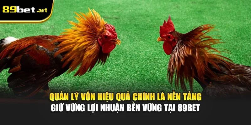 Kinh Nghiệm Chơi Đá Gà Tại 89Bet Dành Cho Các Cao Thủ