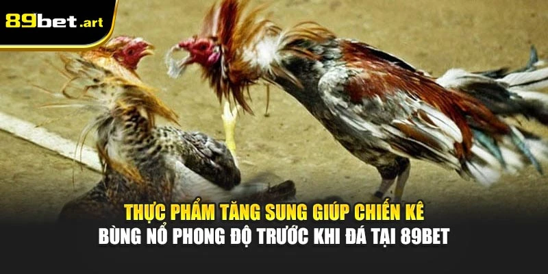 Gà Chọi Ăn Gì Sung Khỏe Và Tăng Bo Đá - Chia Sẻ Từ 89Bet