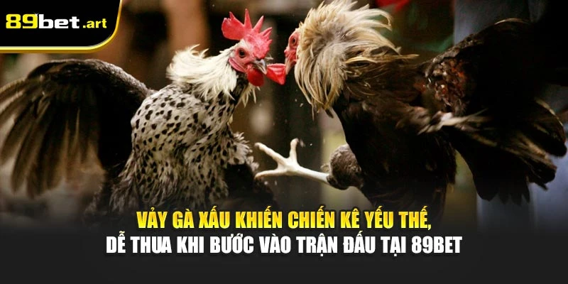 Các Loại Vảy Gà Xấu Nên Tránh Khi Chọn Chiến Kê Từ 89Bet