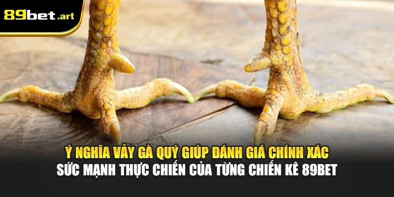 Vảy Gà Quý - Nhận Diện Chiến Kê Khả Năng Thắng Cao Tại 89Bet