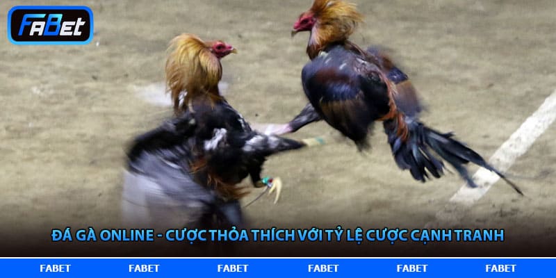 FABET – Trang Chủ FABET.COM Nền Tảng Thể Thao Xanh Chín Số 1 Châu Á 2026